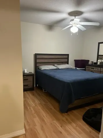 227 Orchid Drive Davenport FL 33897