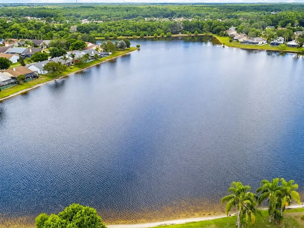 11848 Branch Mooring Drive Tampa FL 33635