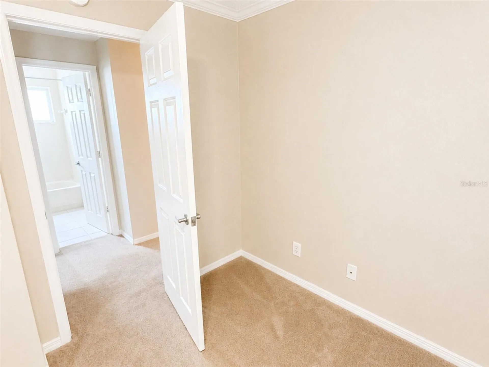 11848 Branch Mooring Drive Tampa FL 33635