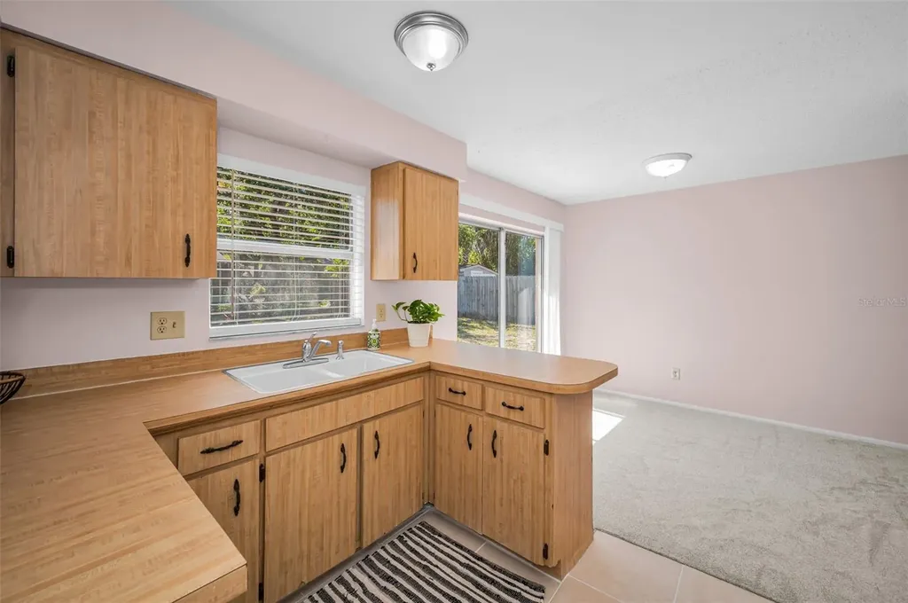 2611 Knoll Street W Palm Harbor FL 34683