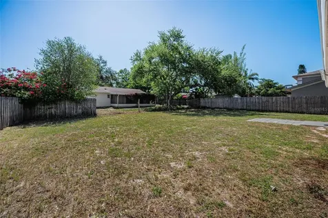 2611 Knoll Street W Palm Harbor FL 34683