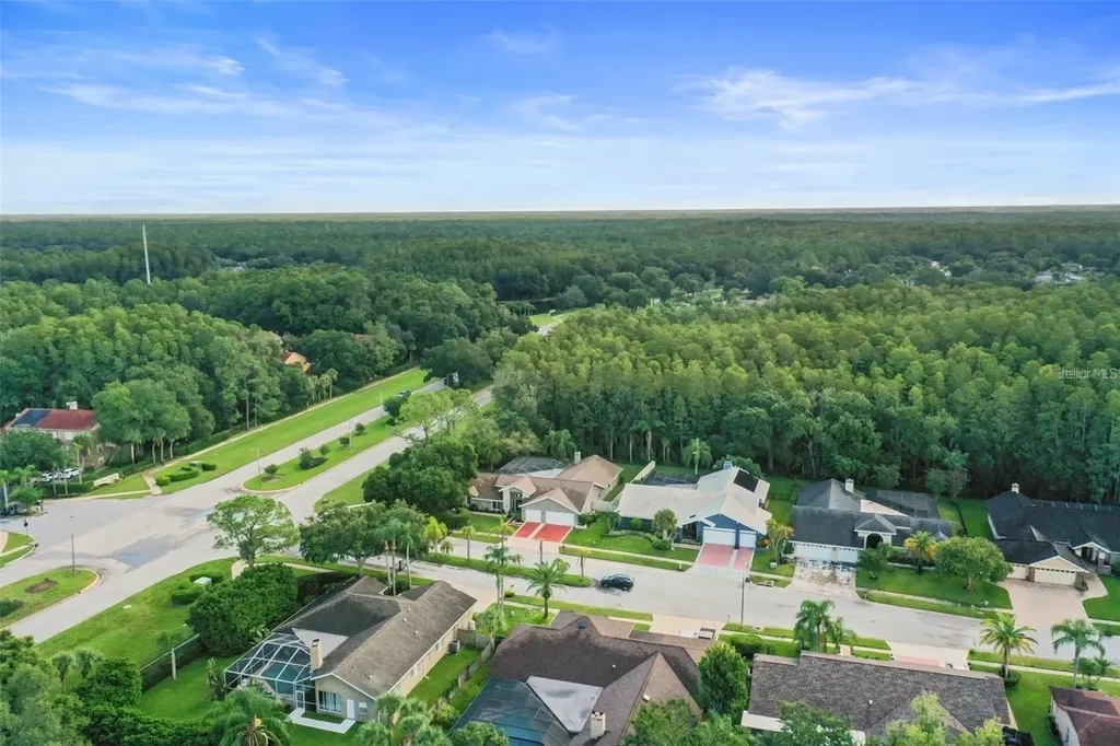 3297 Valemoor Drive Palm Harbor FL 34685