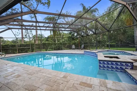 3297 Valemoor Drive Palm Harbor FL 34685
