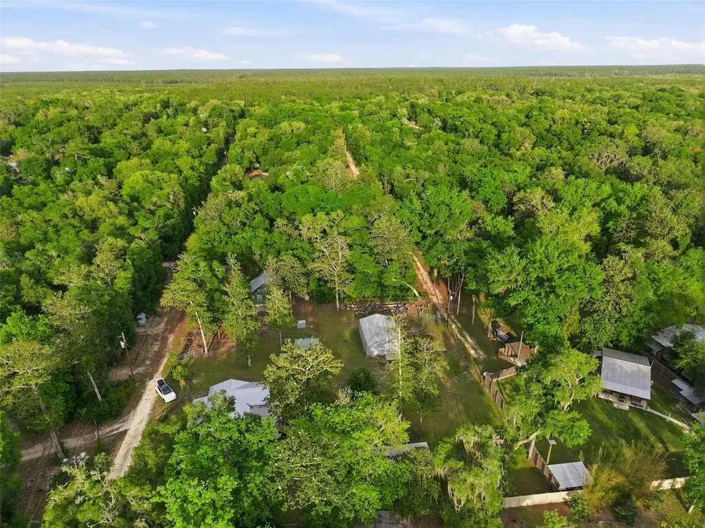 14350 NE 191st Street Fort Mc Coy FL 32134