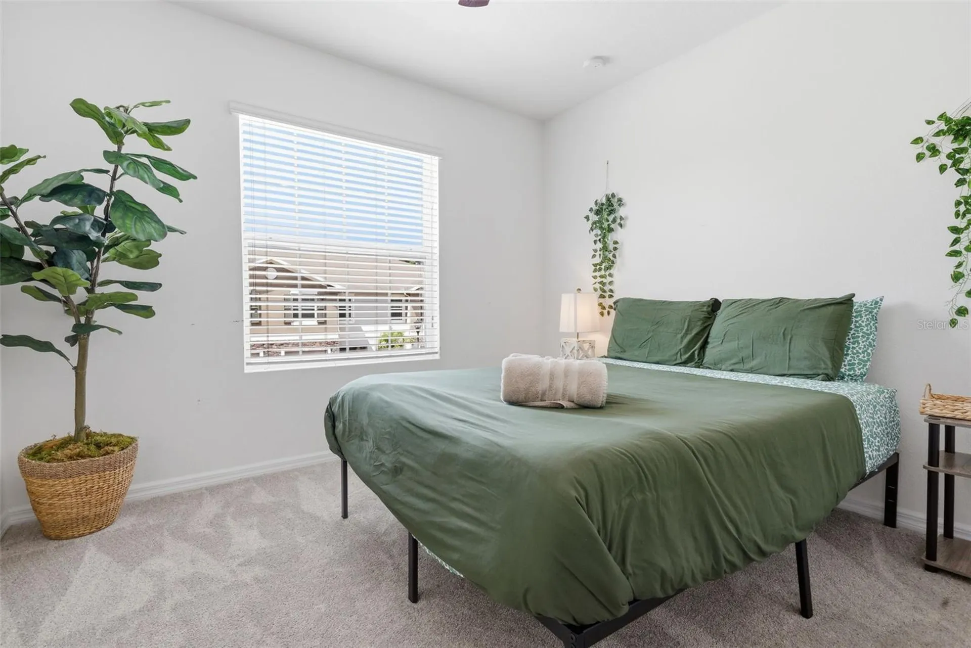 10425 Red Carpet Court Riverview FL 33578