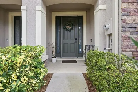 10425 Red Carpet Court Riverview FL 33578