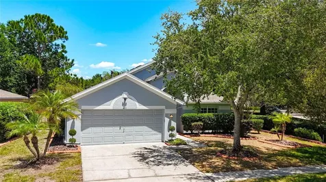 6711 Somerset Garden Way Apollo Beach FL 33572