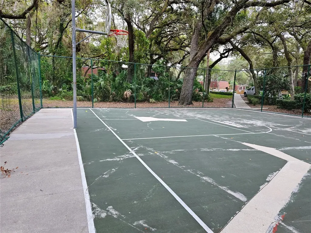 2620 6th Court Palm Harbor FL 34684
