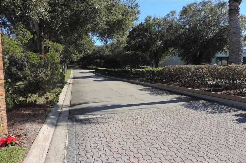 2620 6th Court Palm Harbor FL 34684
