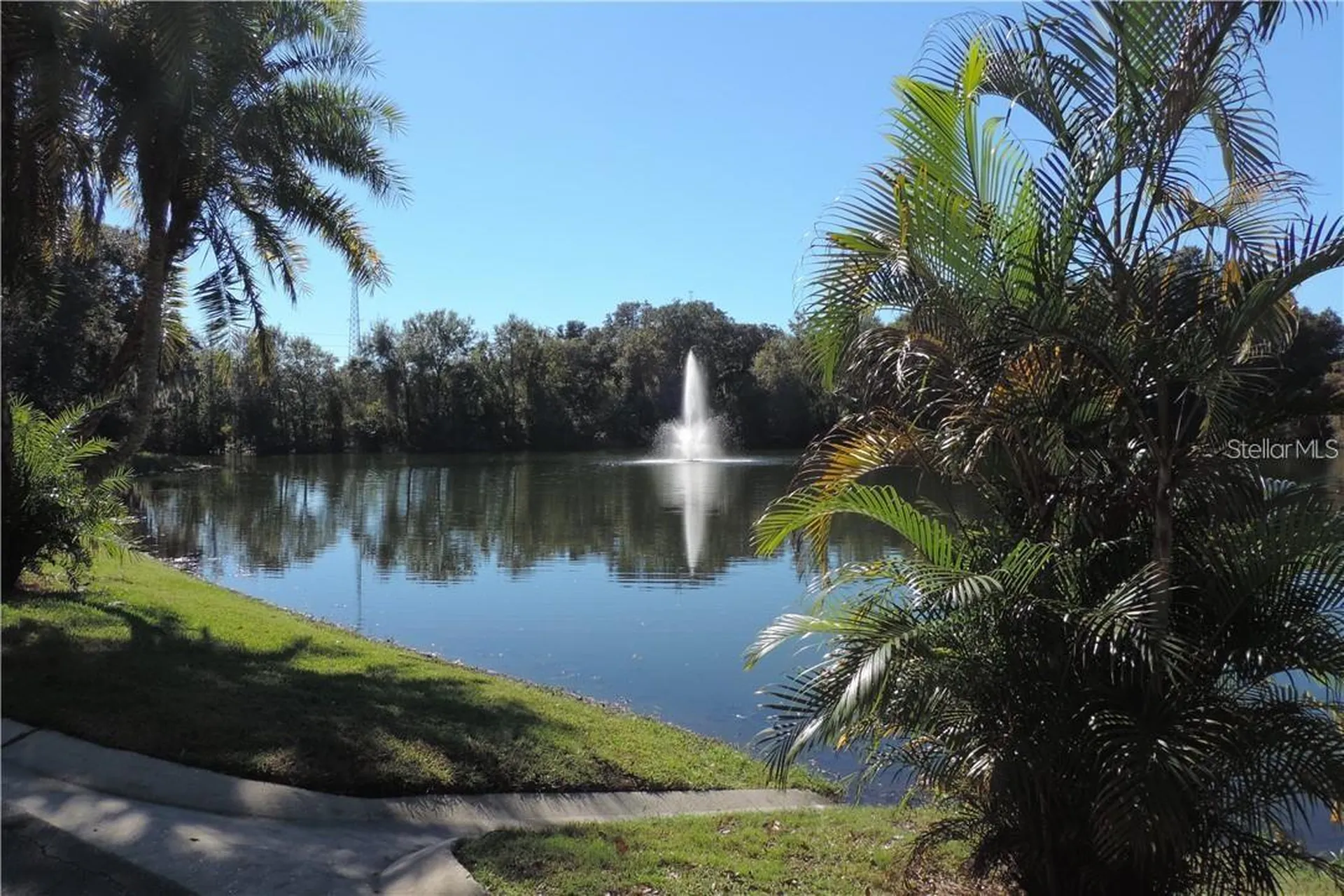 2620 6th Court Palm Harbor FL 34684