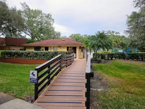 2620 6th Court Palm Harbor FL 34684