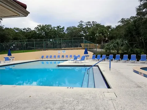 2620 6th Court Palm Harbor FL 34684