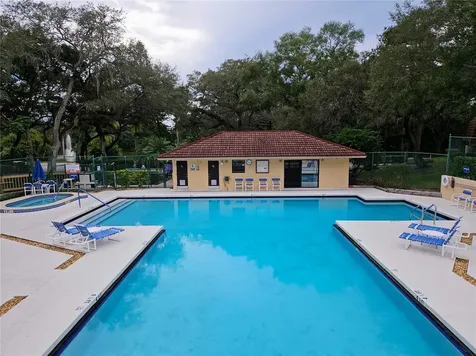 2620 6th Court Palm Harbor FL 34684