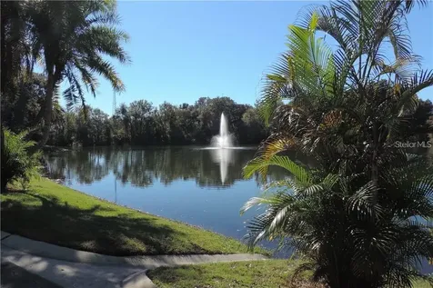2620 6th Court Palm Harbor FL 34684