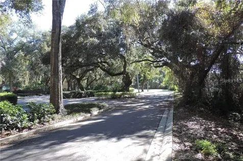 2620 6th Court Palm Harbor FL 34684