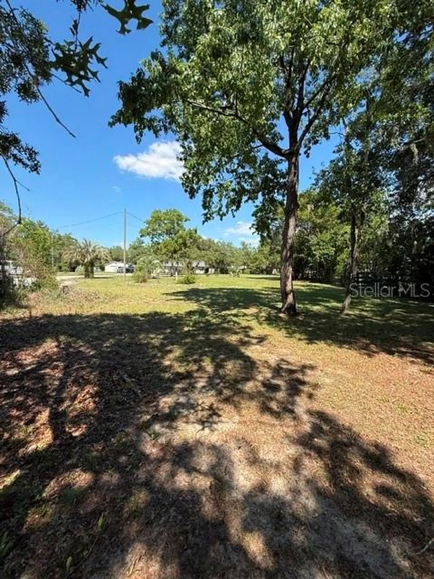 40145 W 7th Avenue Umatilla FL 32784