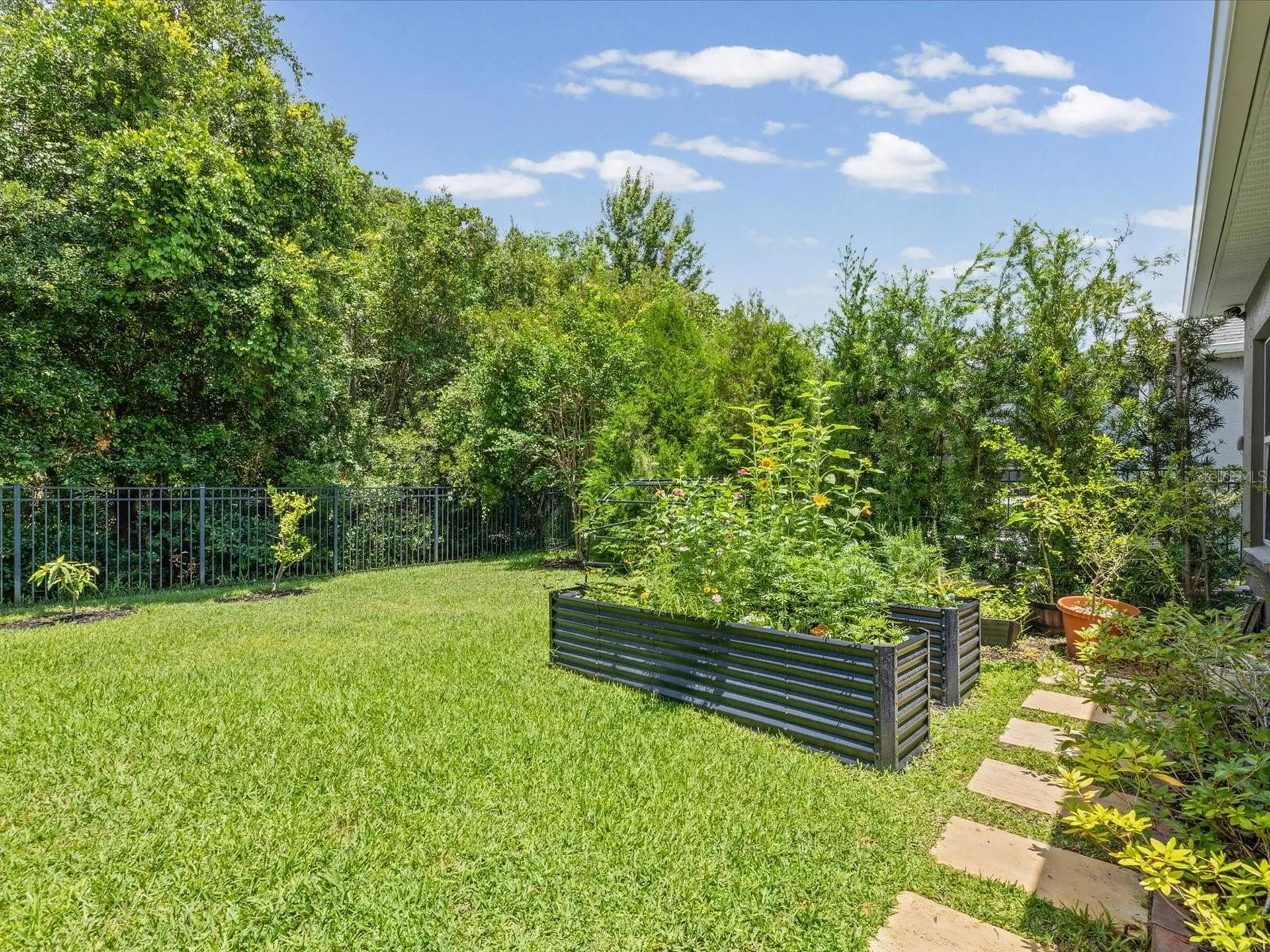 3719 Wicket Field Road Lutz FL 33548