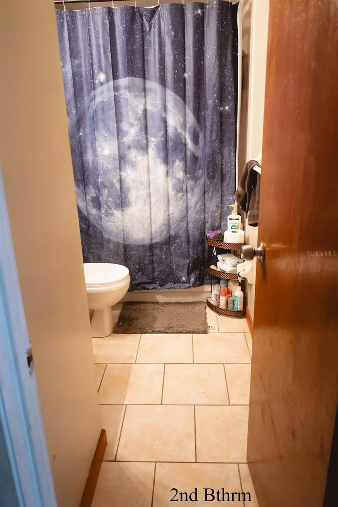8204 Trammell Trail Tampa FL 33619