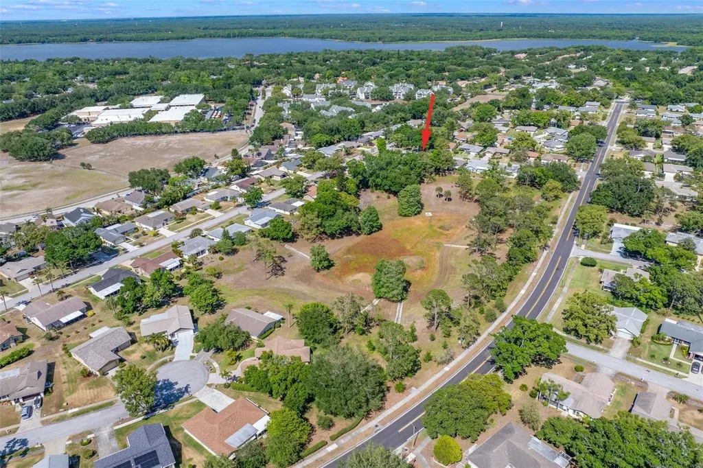 1756 Macdonnell Drive Palm Harbor FL 34684