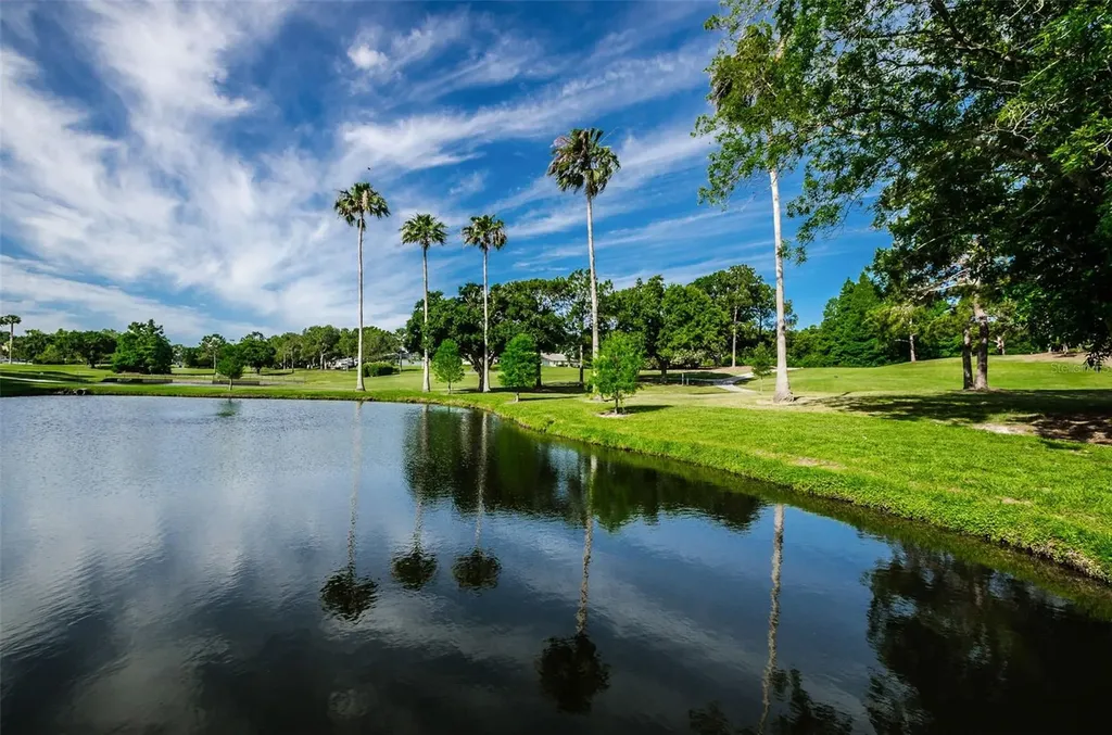 1756 Macdonnell Drive Palm Harbor FL 34684