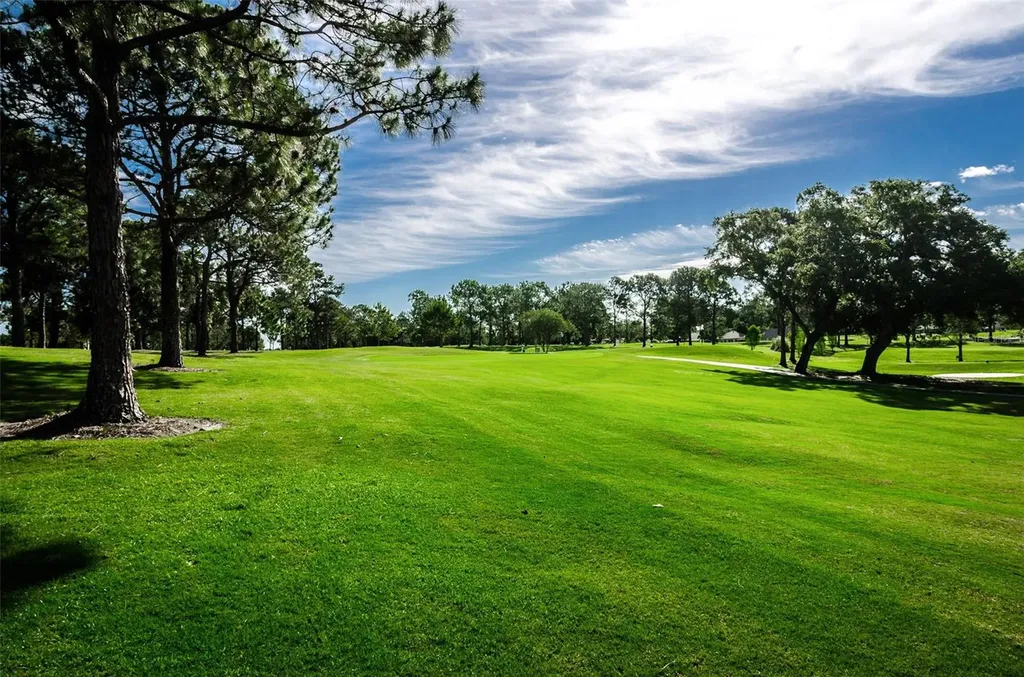 1756 Macdonnell Drive Palm Harbor FL 34684