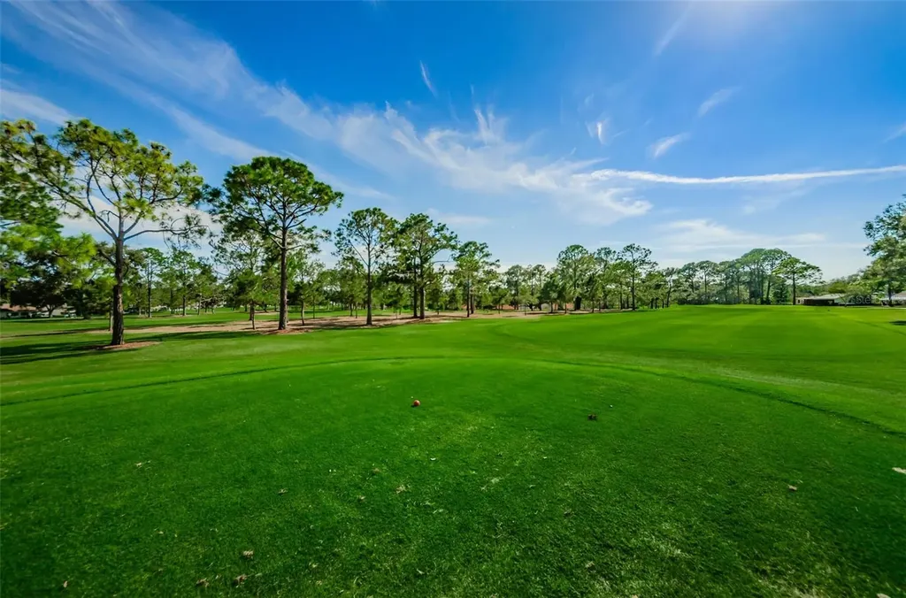1756 Macdonnell Drive Palm Harbor FL 34684