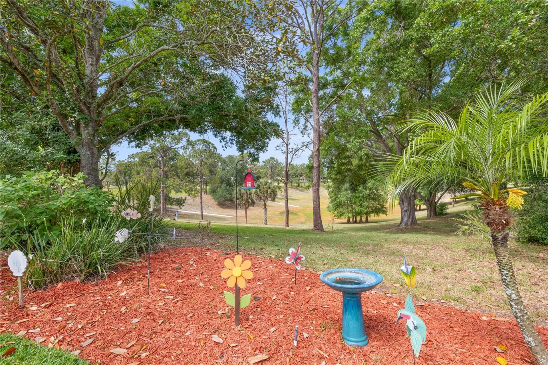 1756 Macdonnell Drive Palm Harbor FL 34684