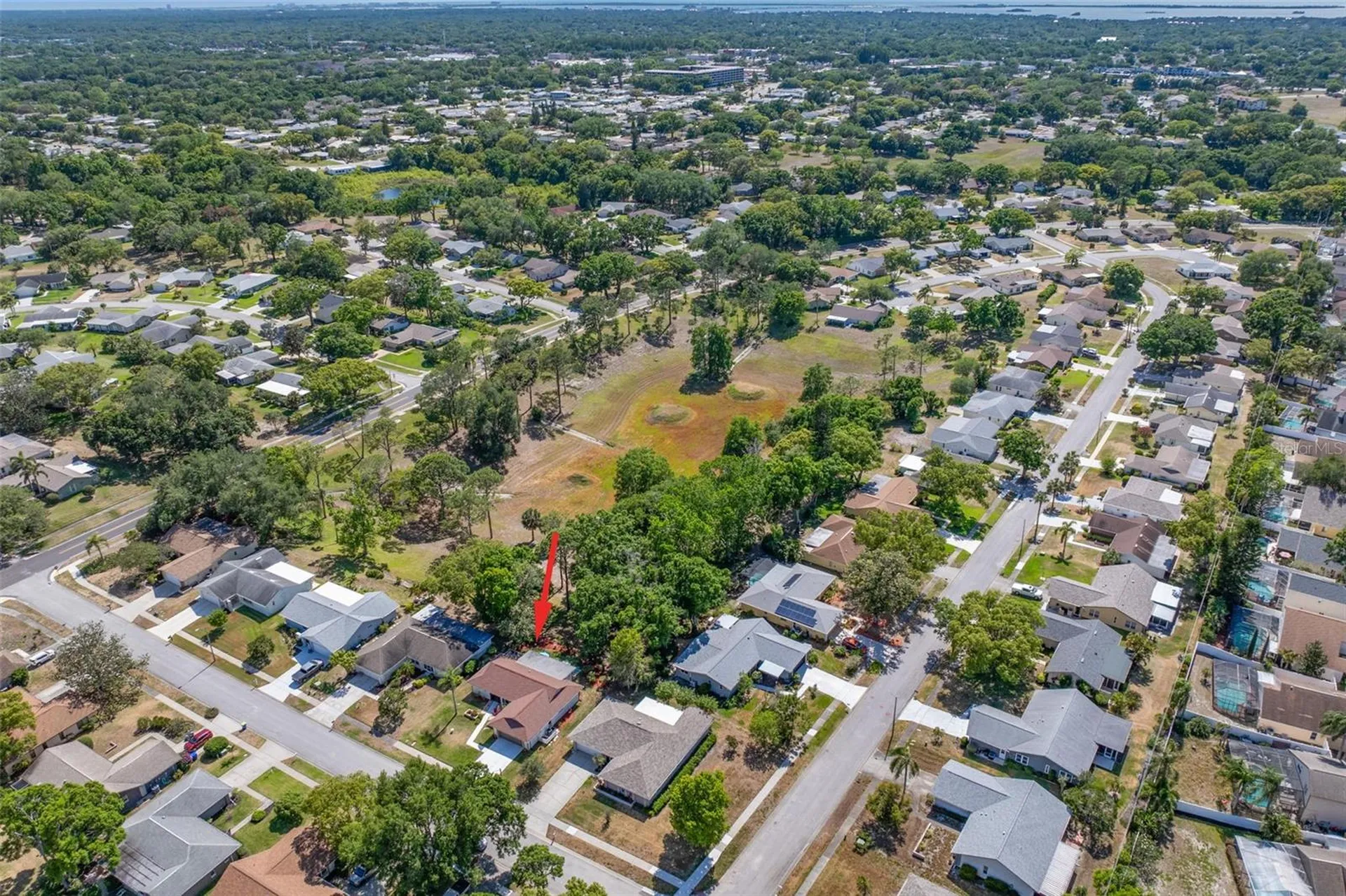 1756 Macdonnell Drive Palm Harbor FL 34684