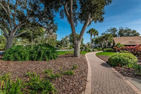 1756 Macdonnell Drive Palm Harbor FL 34684