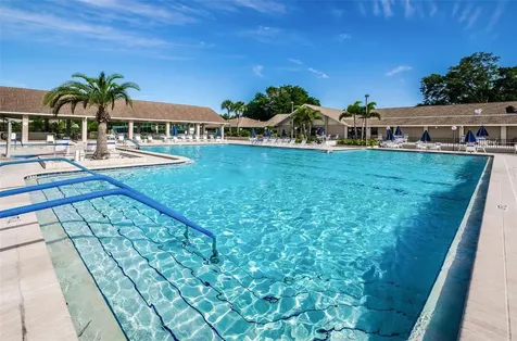 1756 Macdonnell Drive Palm Harbor FL 34684
