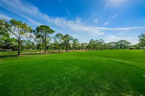 1756 Macdonnell Drive Palm Harbor FL 34684