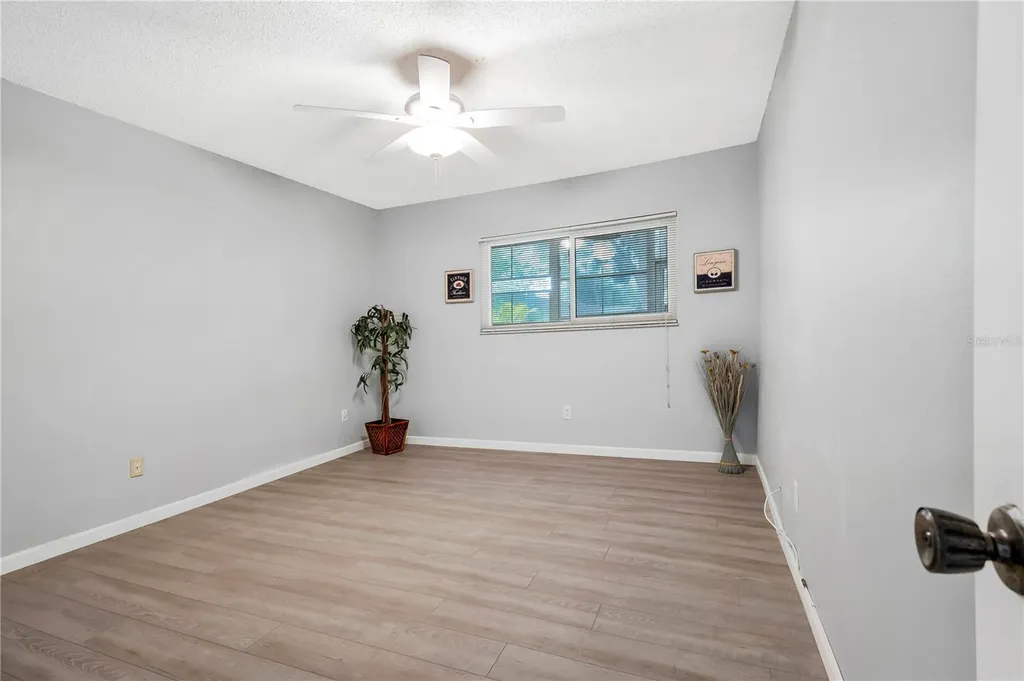 3156 Highlands Boulevard Palm Harbor FL 34684
