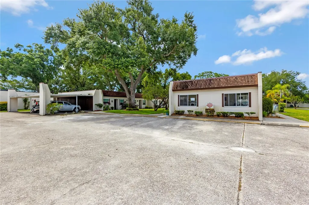 3156 Highlands Boulevard Palm Harbor FL 34684