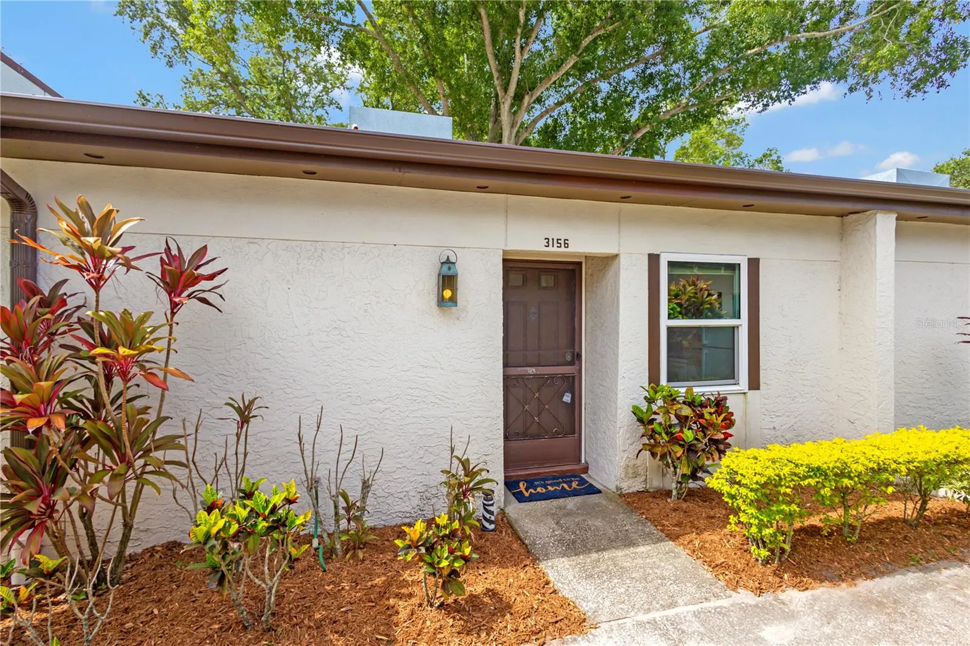 3156 Highlands Boulevard Palm Harbor FL 34684
