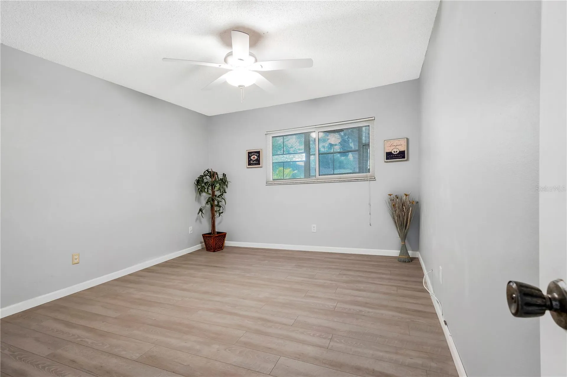 3156 Highlands Boulevard Palm Harbor FL 34684