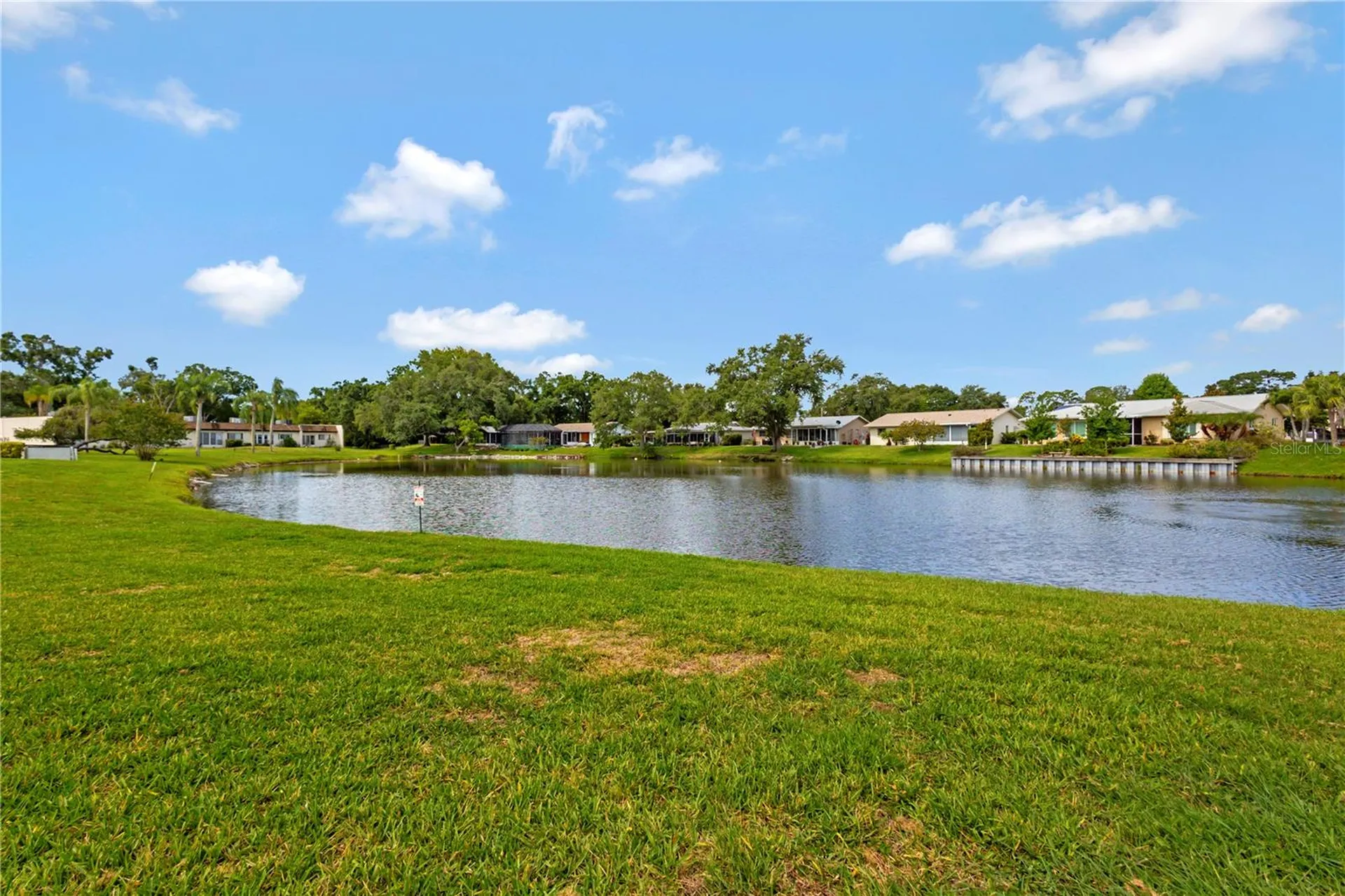 3156 Highlands Boulevard Palm Harbor FL 34684