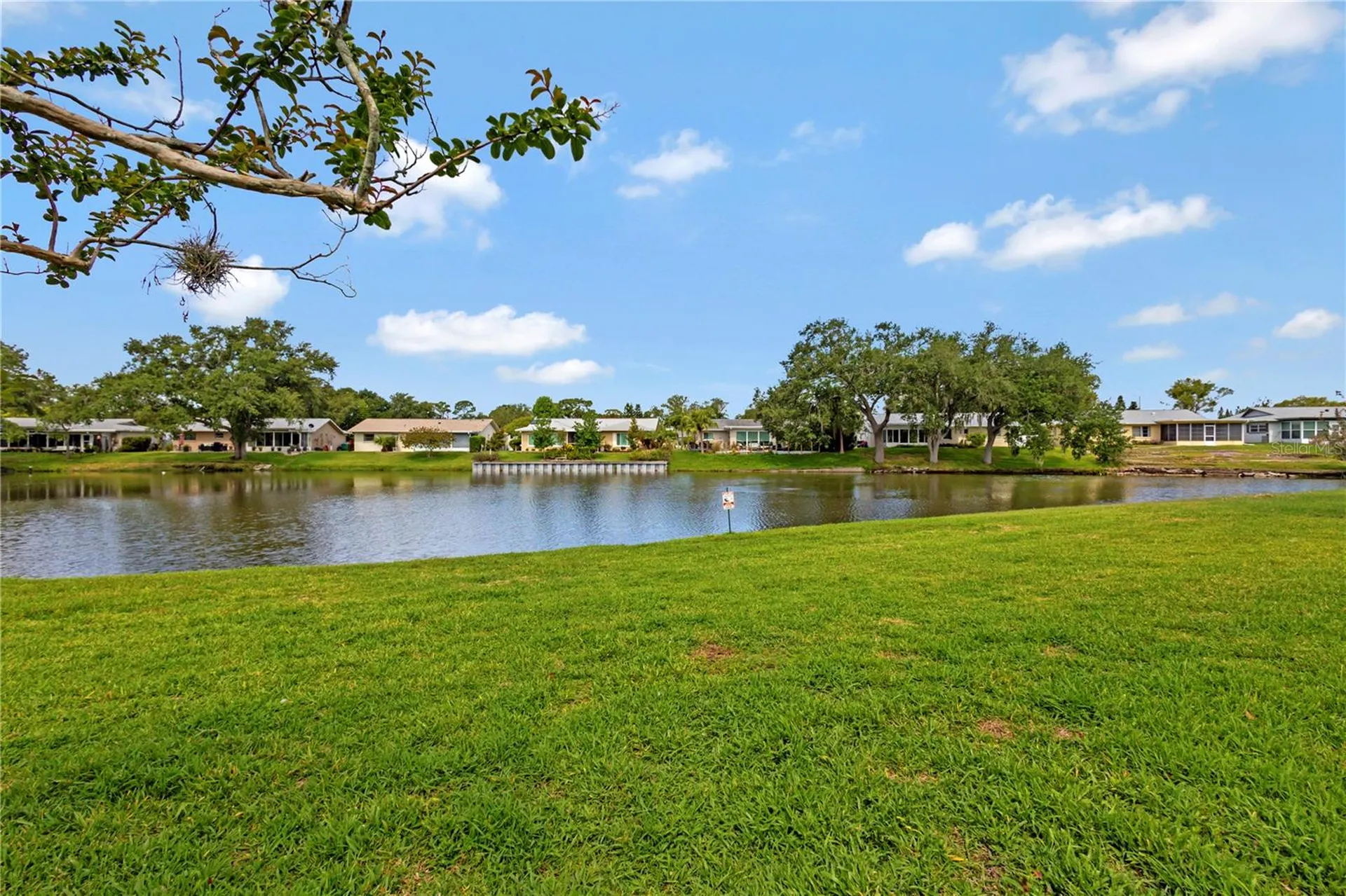 3156 Highlands Boulevard Palm Harbor FL 34684