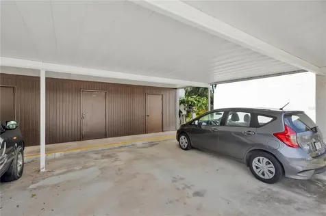 3156 Highlands Boulevard Palm Harbor FL 34684