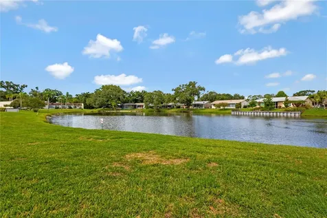 3156 Highlands Boulevard Palm Harbor FL 34684