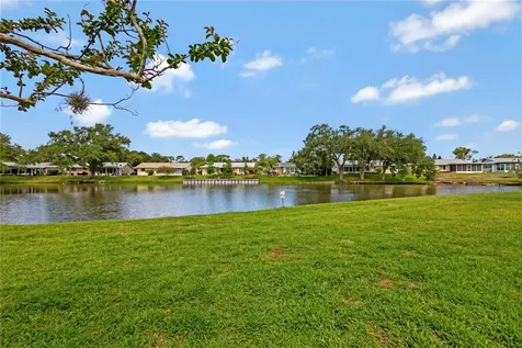 3156 Highlands Boulevard Palm Harbor FL 34684