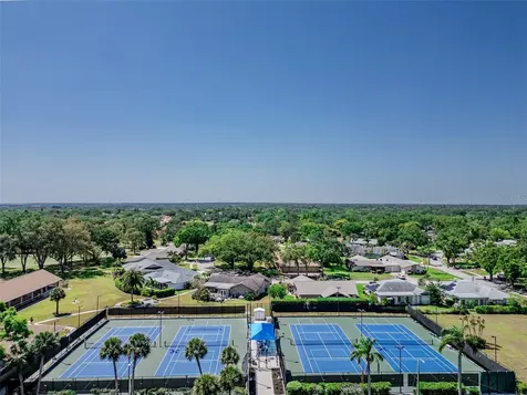 3156 Highlands Boulevard Palm Harbor FL 34684