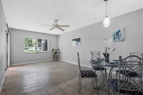 3156 Highlands Boulevard Palm Harbor FL 34684