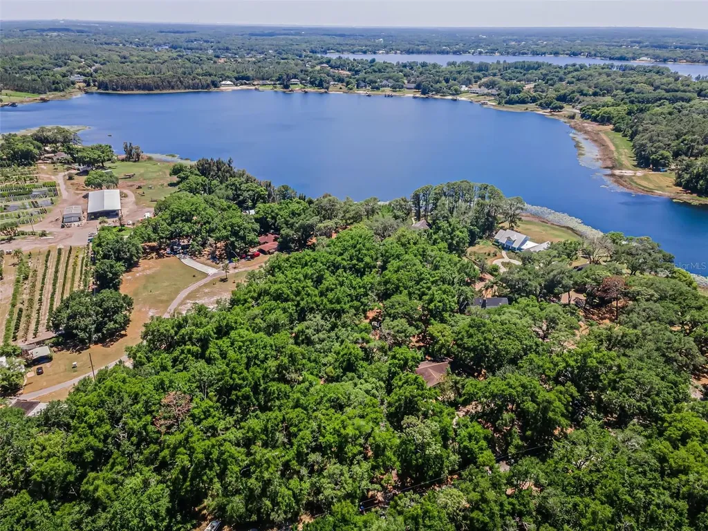 8602 Bonnie Cove Lane Odessa FL 33556