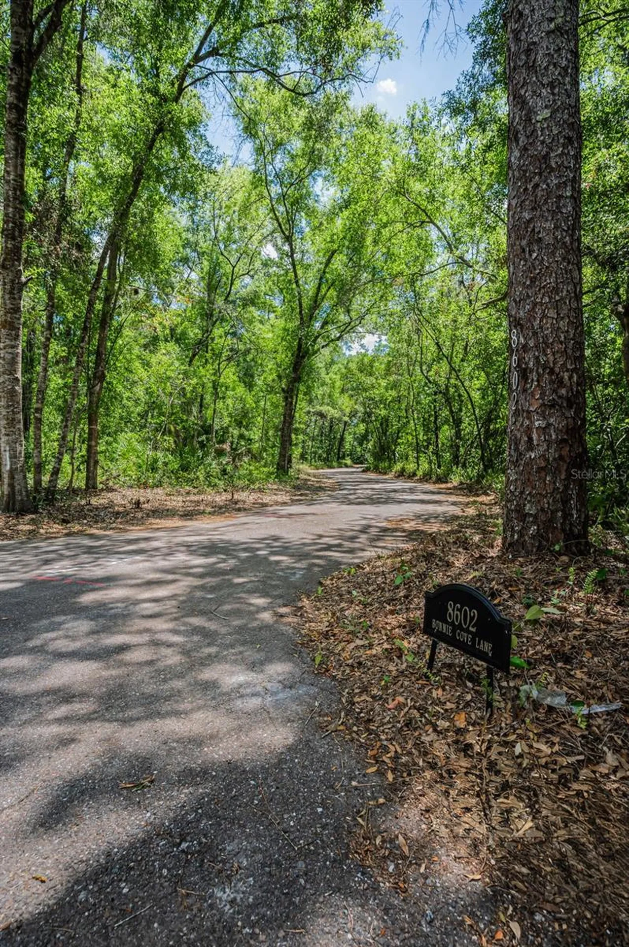 8602 Bonnie Cove Lane Odessa FL 33556