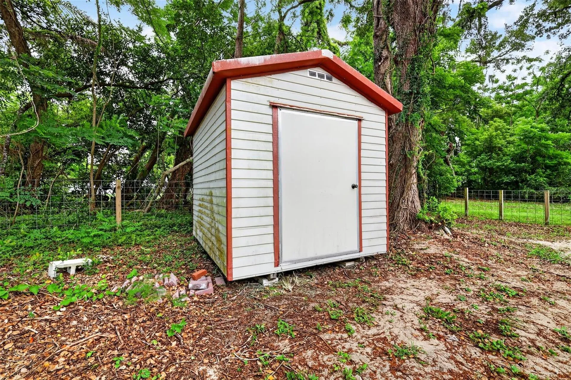 5537 Lake Street Mount Dora FL 32757