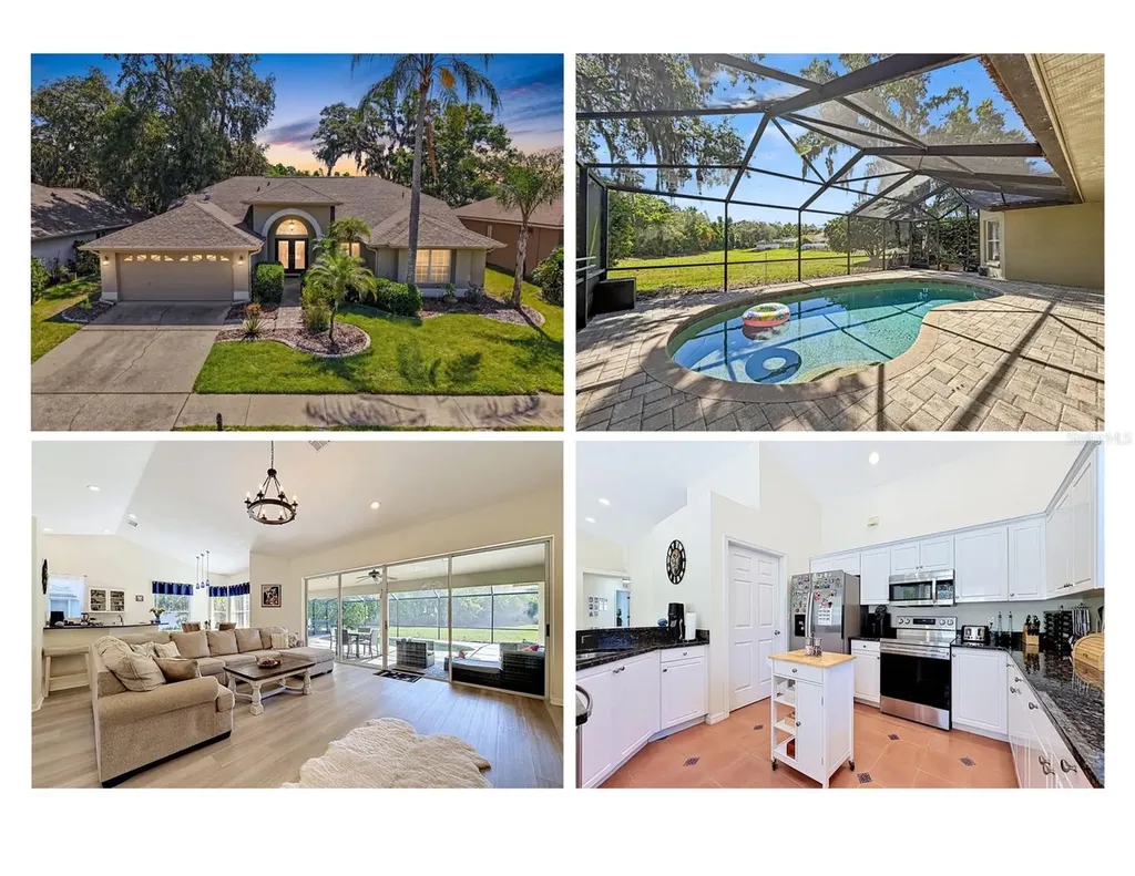 8435 Basuto Drive Trinity FL 34655
