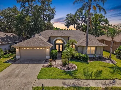 8435 Basuto Drive Trinity FL 34655