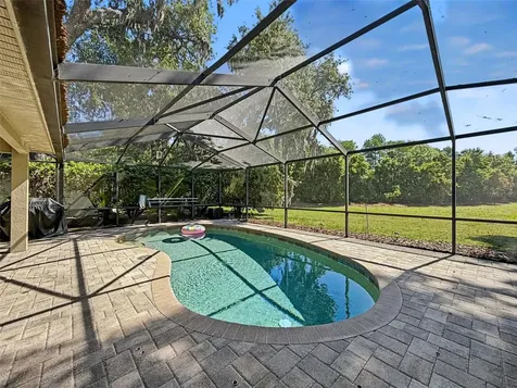 8435 Basuto Drive Trinity FL 34655