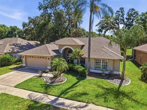 8435 Basuto Drive Trinity FL 34655