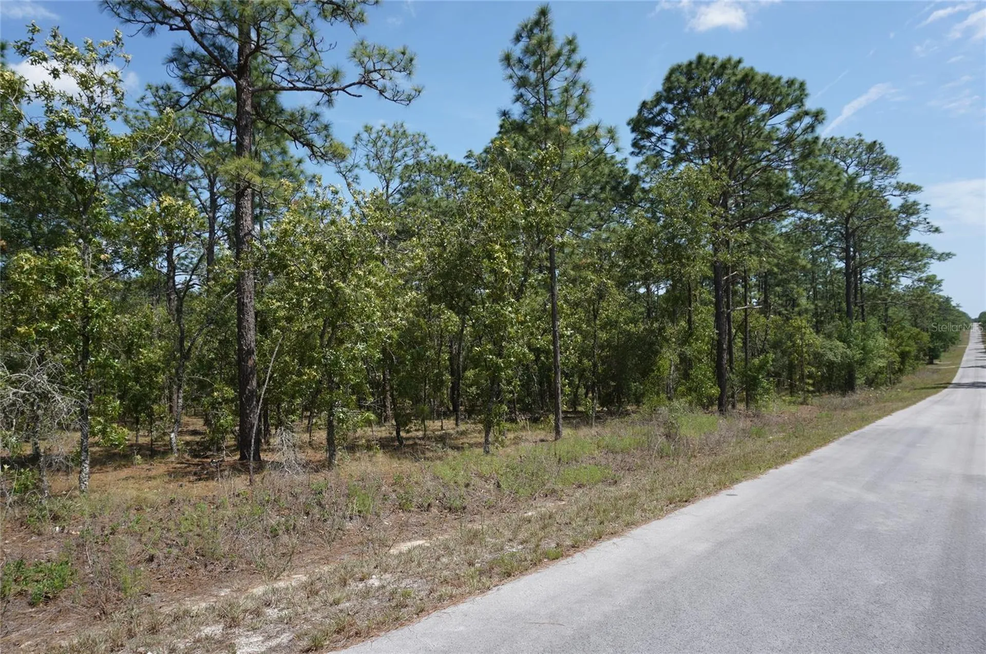 Tbd NW Tree Top Road Dunnellon FL 34431